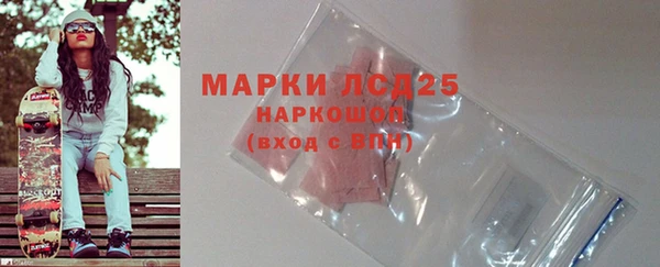 ГАЛЛЮЦИНОГЕННЫЕ ГРИБЫ Медвежьегорск