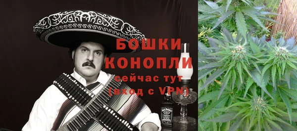молекула духа Михайлов