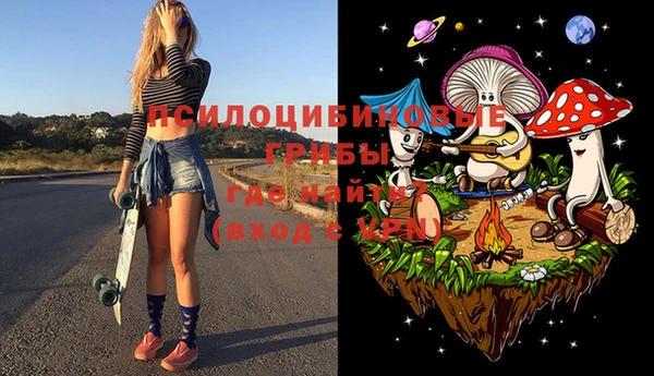 ГАЛЛЮЦИНОГЕННЫЕ ГРИБЫ Медвежьегорск